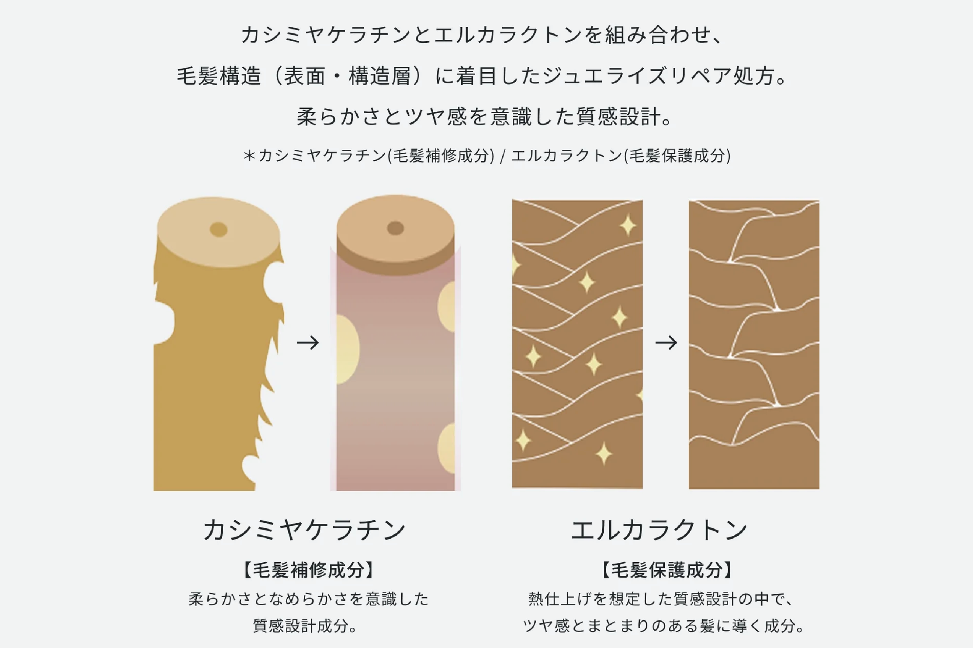 カシミヤ