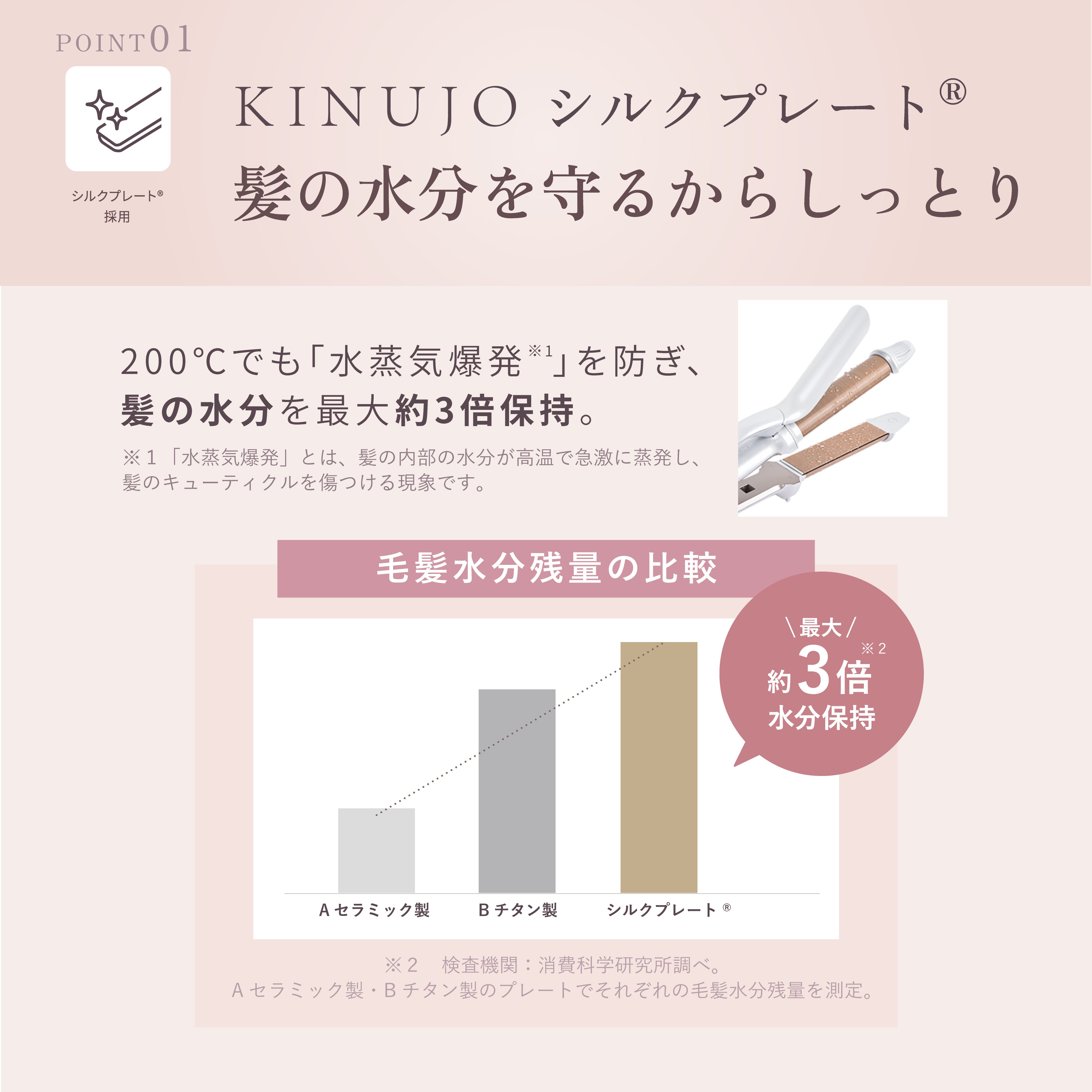 KINUJO 2WAY Iron