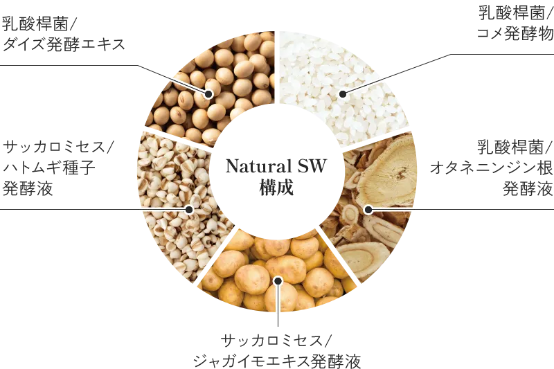 スピケア ブイスリー