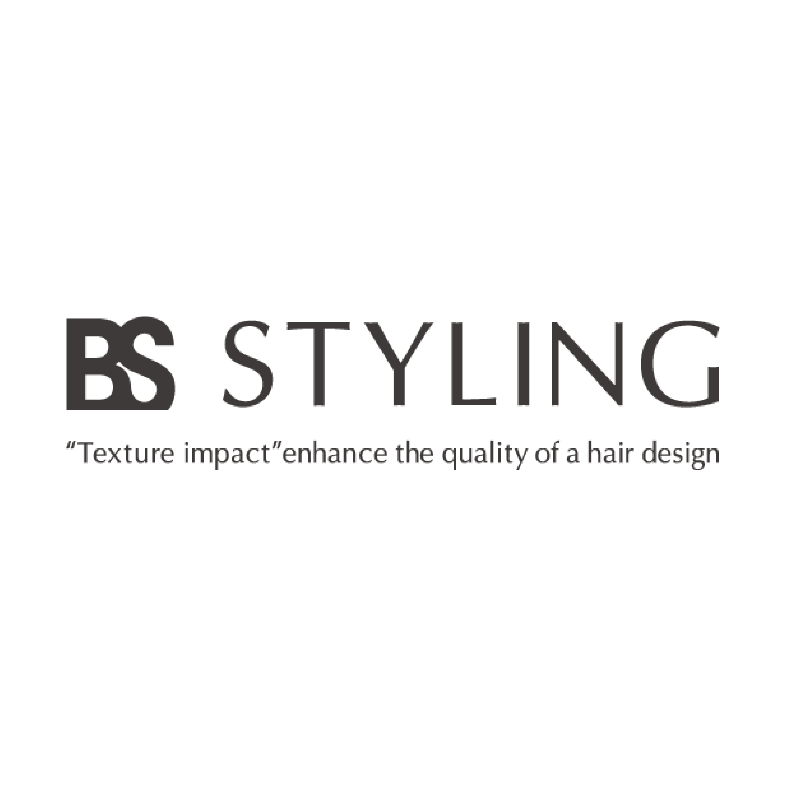 BSスタイリングのイメージ商品