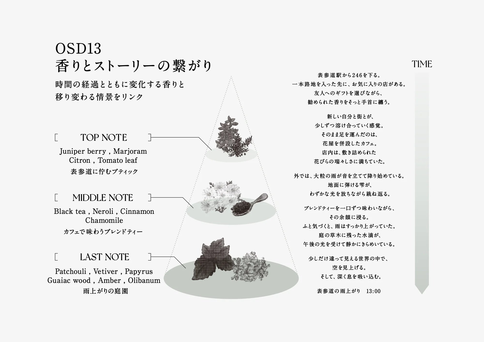 OSD13 SHAMPOO（シャンプー）