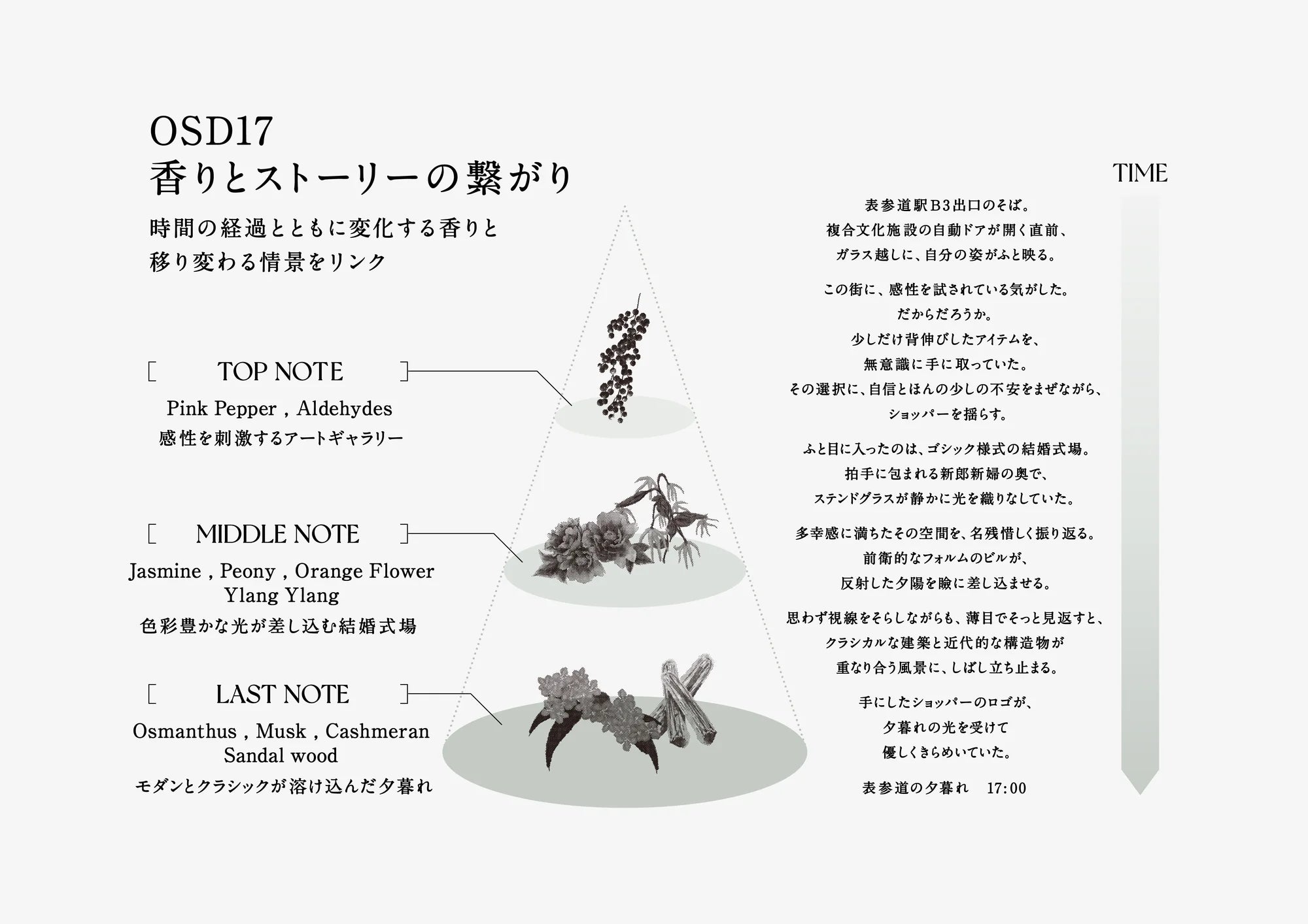OSD17 SHAMPOO（シャンプー）