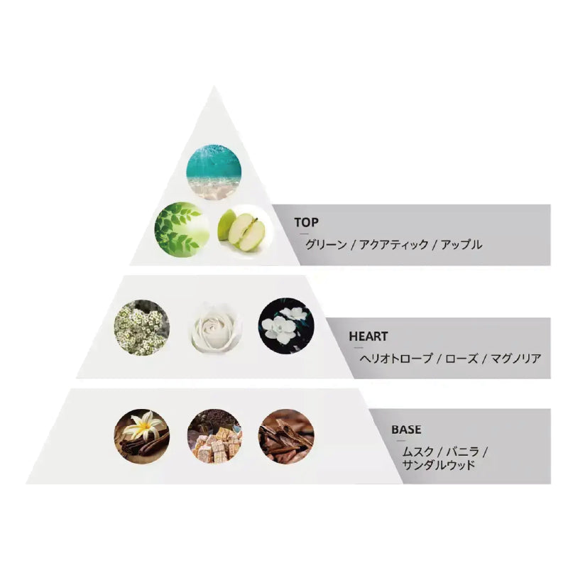 ファイバープレックス トータルケアセット