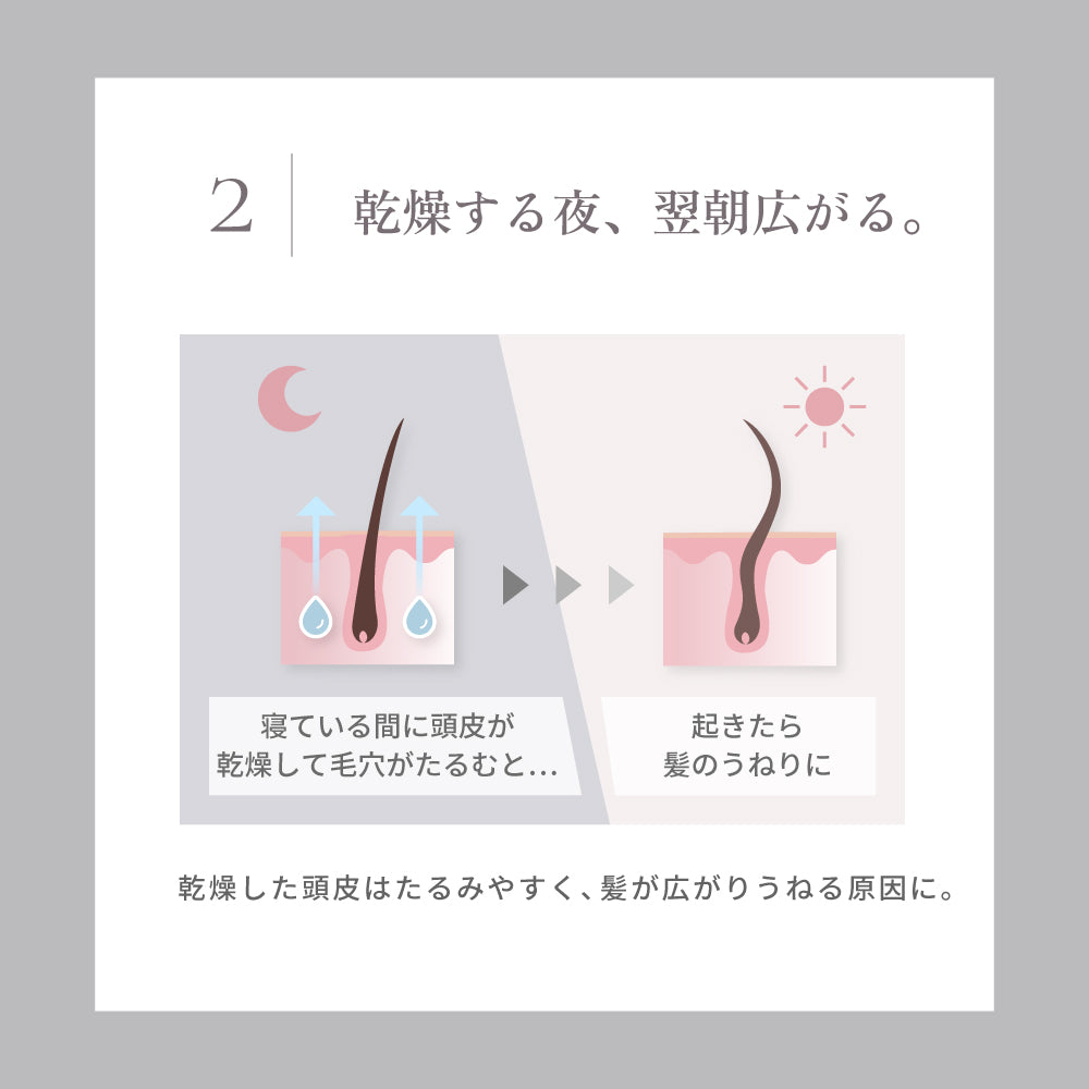 KINUJO Silk Rich Pillowcase＜シャンパンゴールド＞（ピローケース）